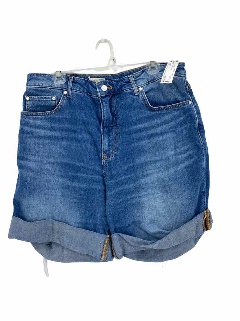 Pilcro Ladies Size 32 Shorts