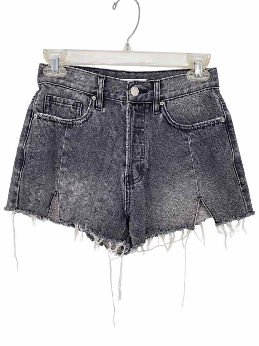 Pacsun Ladies Size 24 Shorts