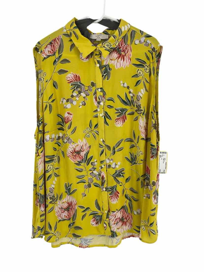 Loft Ladies Size 26 Shirt