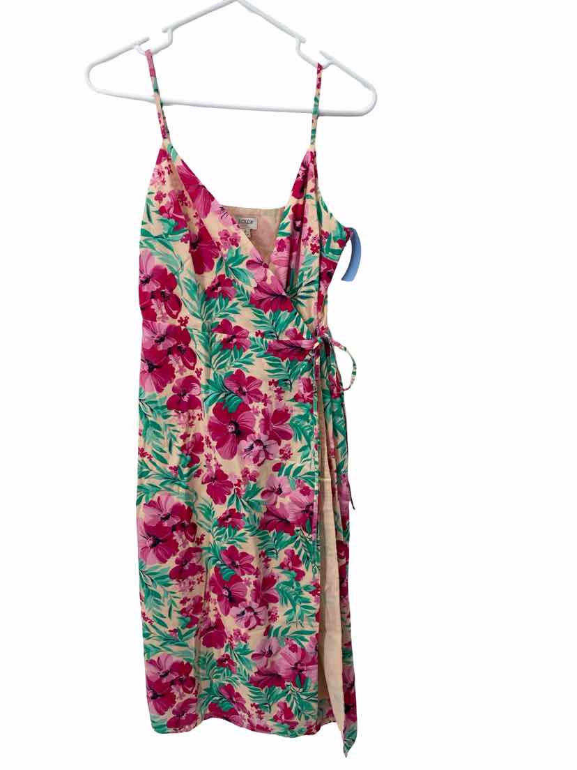 J Crew Ladies Size 2 Dress