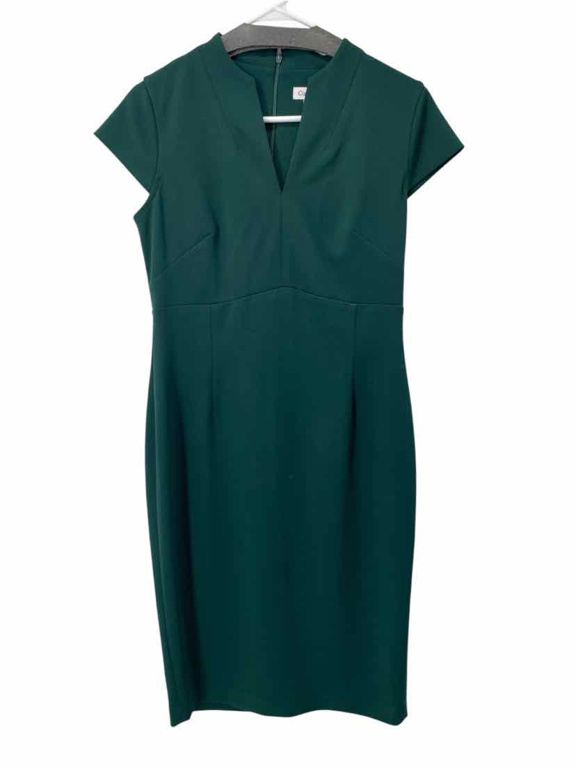 Calvin Klein Ladies Size 8 NEW Dress