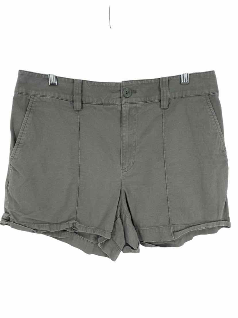 Loft Ladies Size 10 Shorts