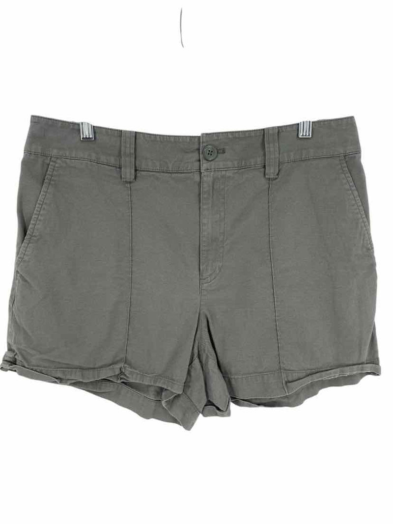 Loft Ladies Size 10 Shorts