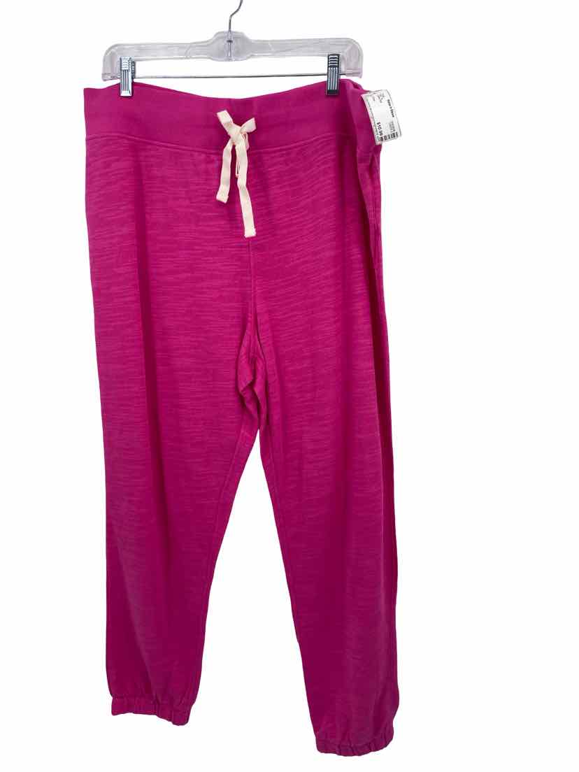 J Crew Ladies Size XL Pants