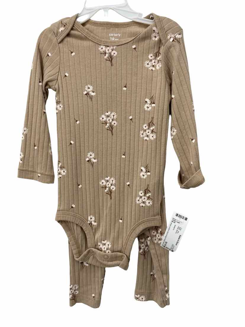 Carter's Kids Size 18m 2 pc