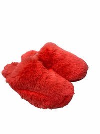 A Ladies Size S/M Slippers