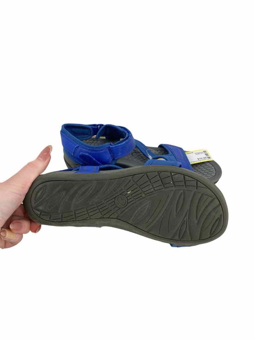 Baretraps Ladies Size 7 Sandals