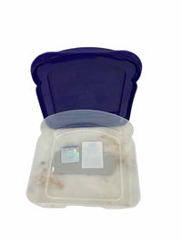Nfl Purple Sandwich Container