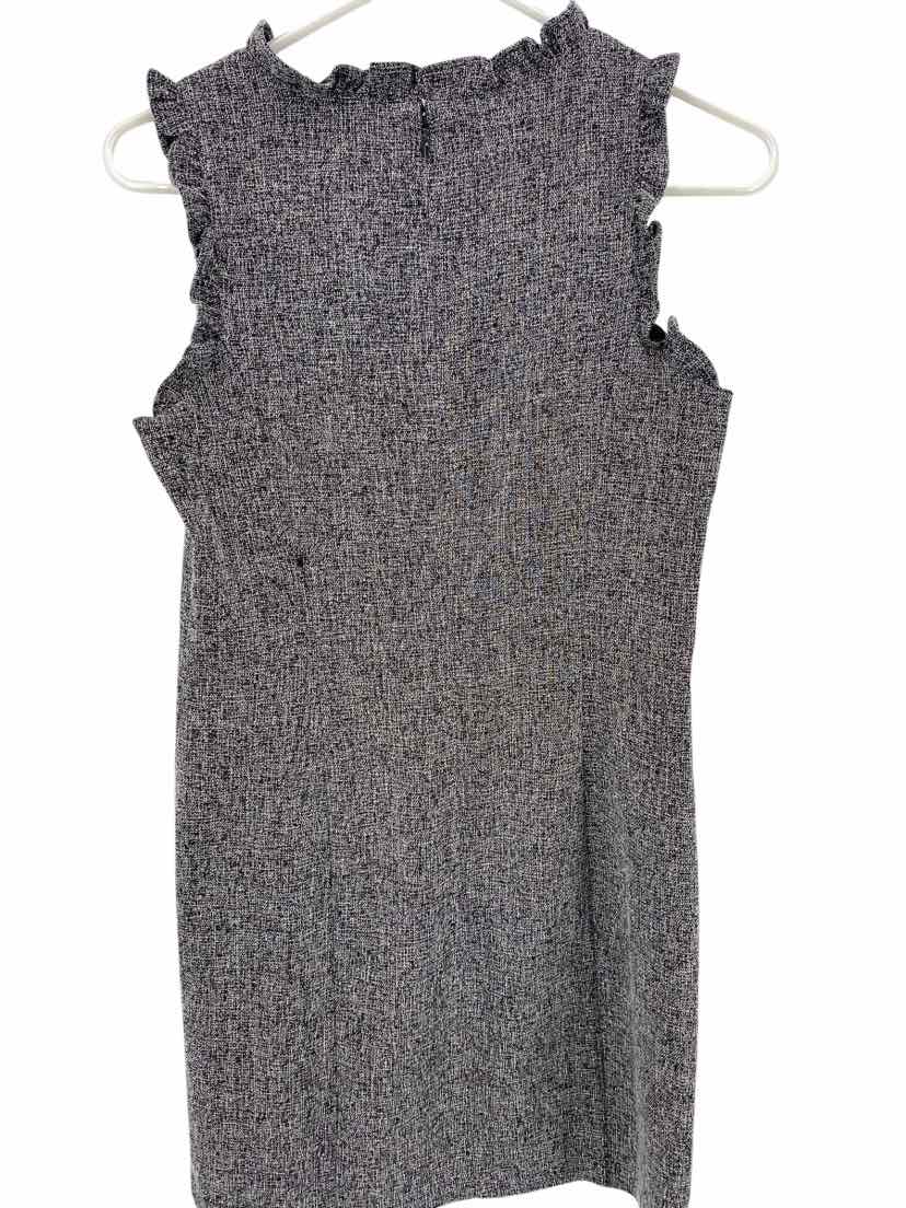 Loft Ladies Size 2P Dress