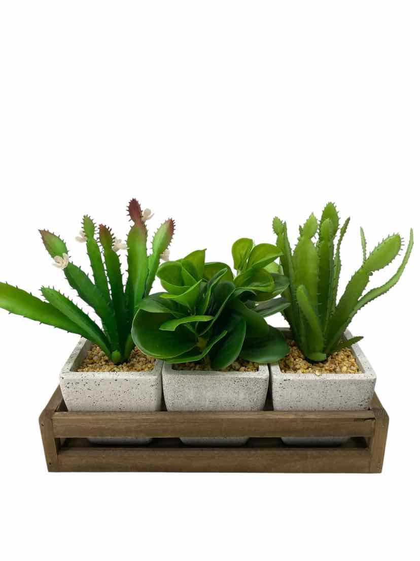 No Brand Green 3 pots mini cactus Table Decor