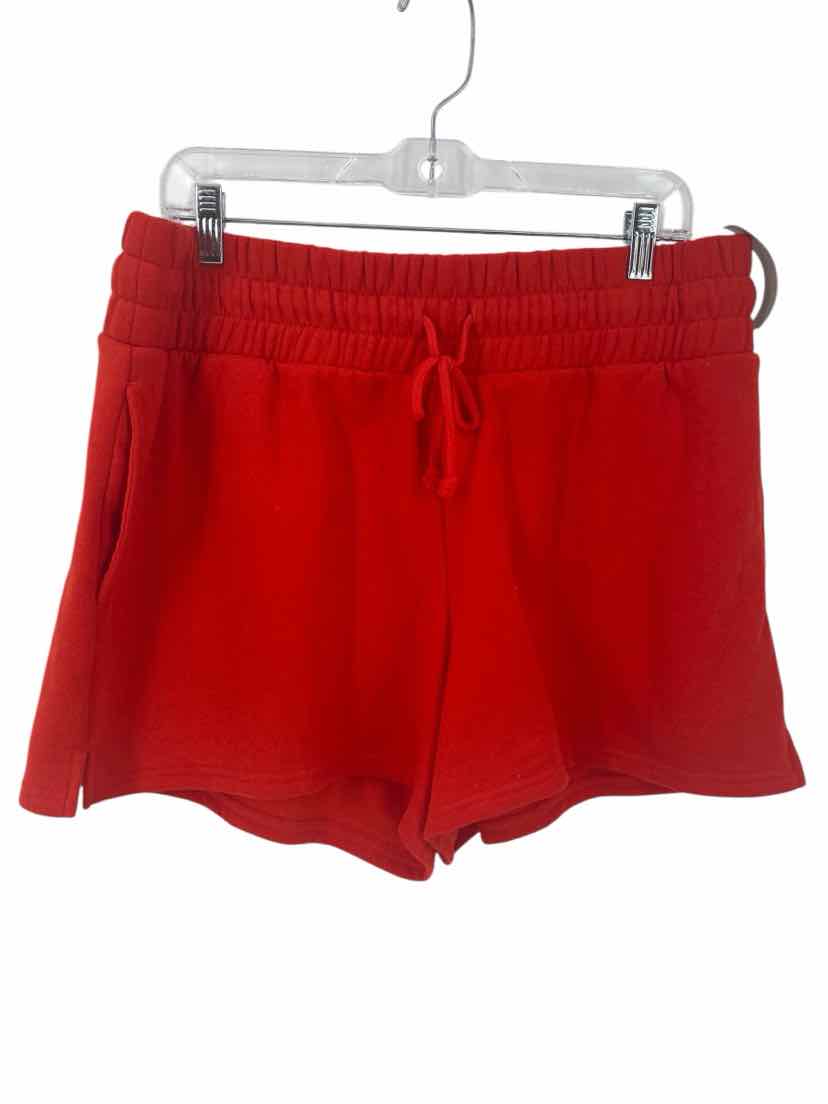 Ladies Wild Fable Size L Shorts