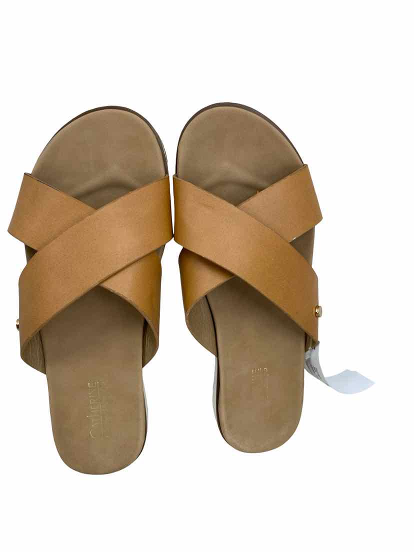 Catherine Ladies Size 7 Sandals