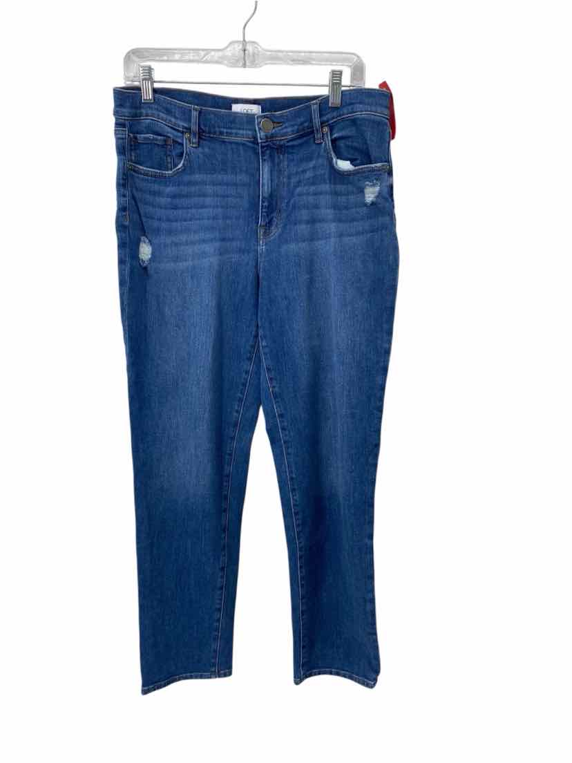 Loft Ladies Size 10 Jeans