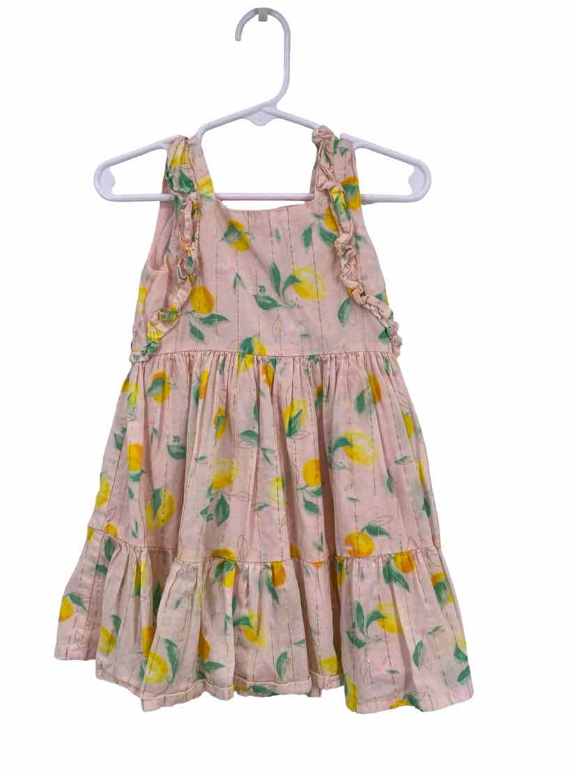OshKosh Kids Size 2T Dress