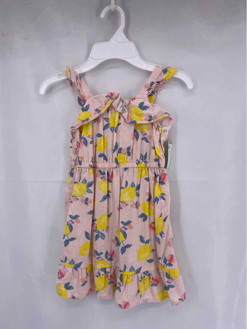 OshKosh Kids Size 4t Dress