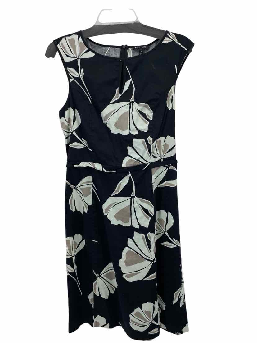 The Limited Ladies Size Small Dress