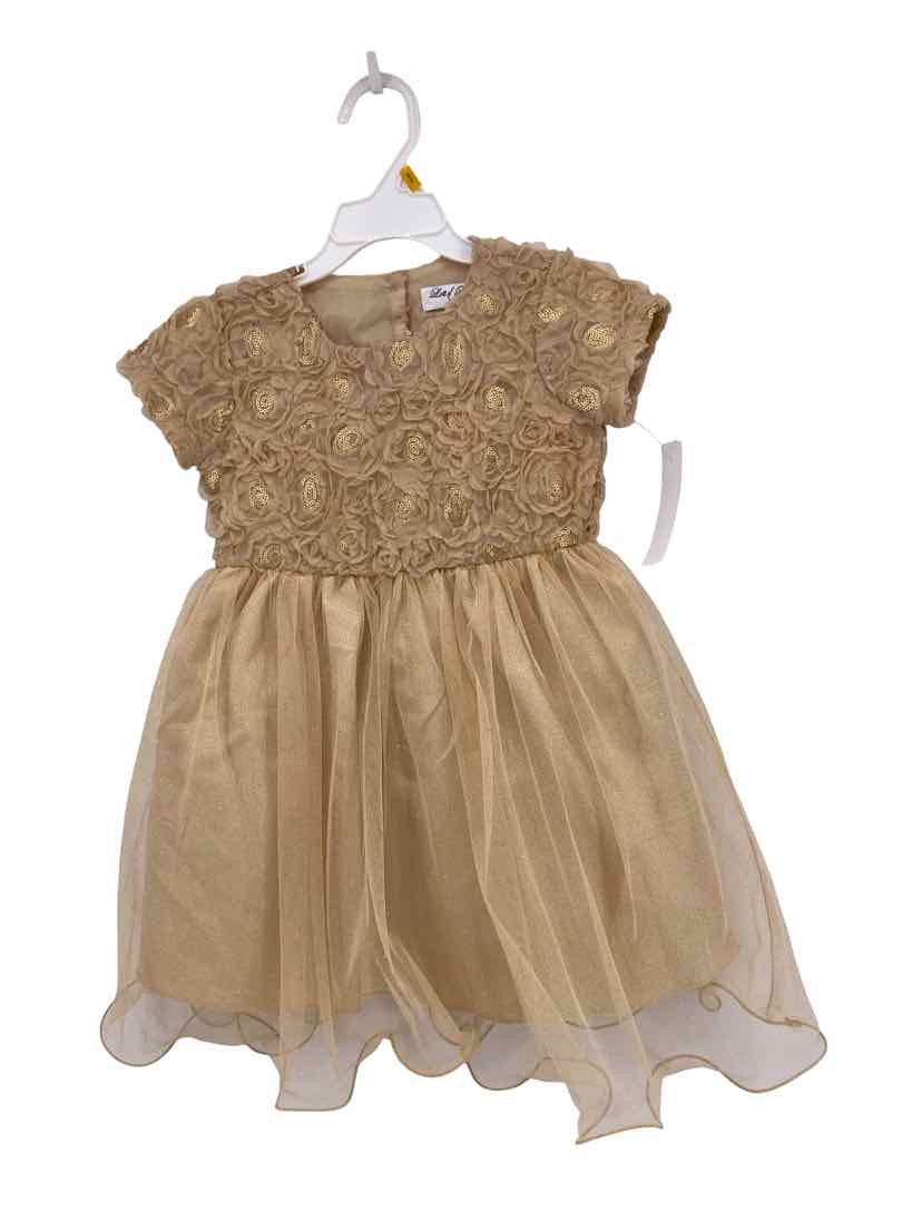 Lots of Love Kids Size 3 Dress