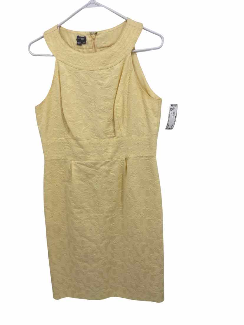 Muse Ladies Size 10 Dress