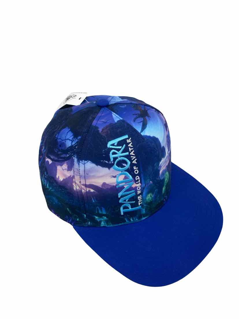 Disney Avatar NEW Hat