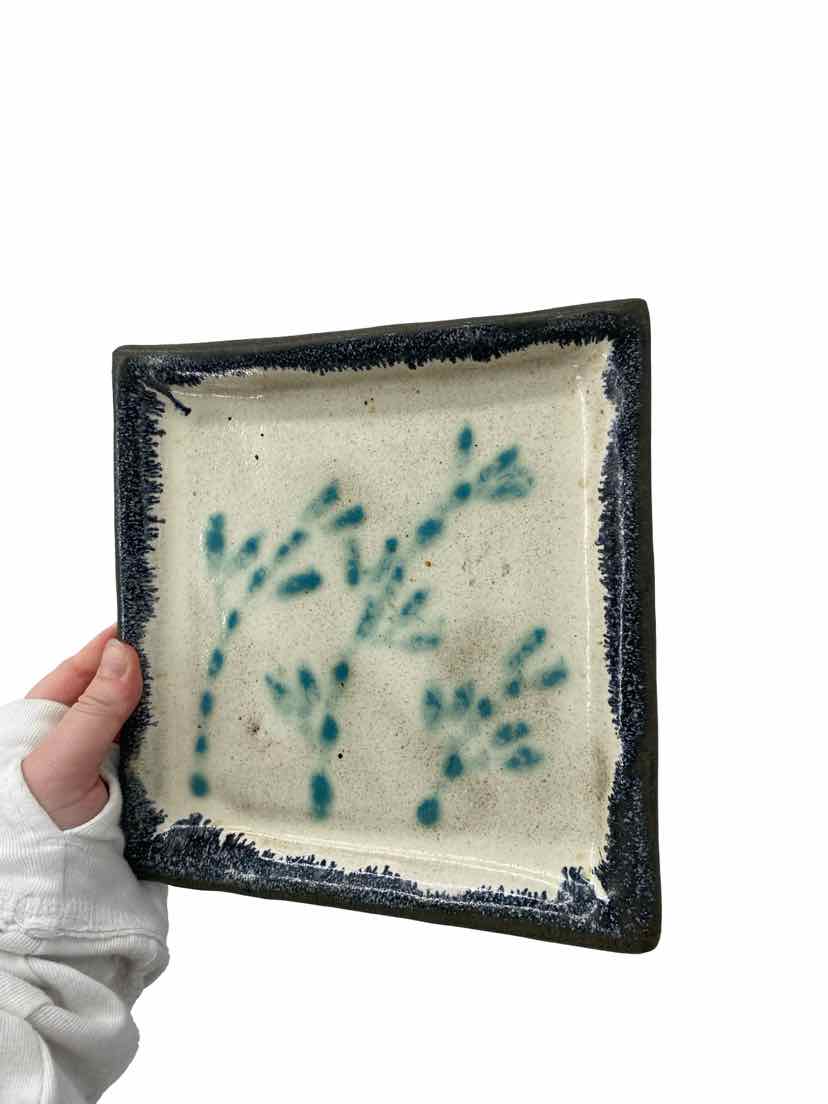 David Changar Cream Bronx Artist Dish