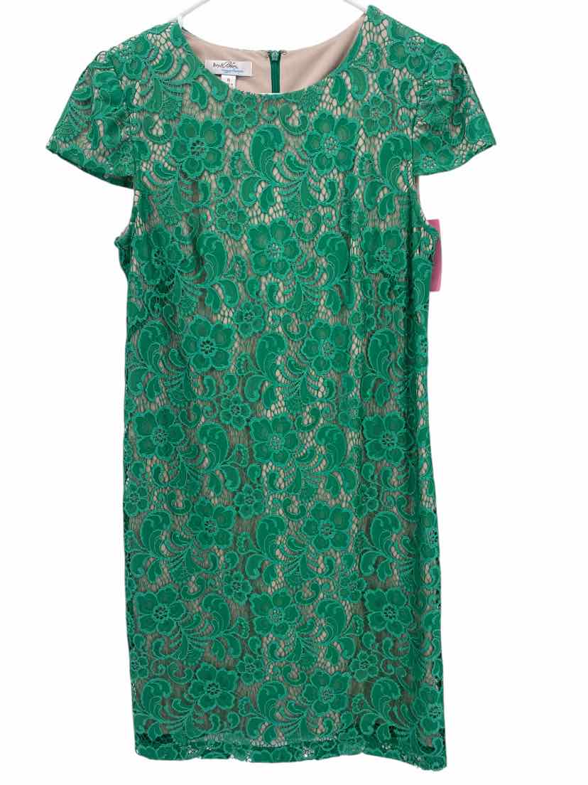Ladies Ivy & blu Size 6 Dresses