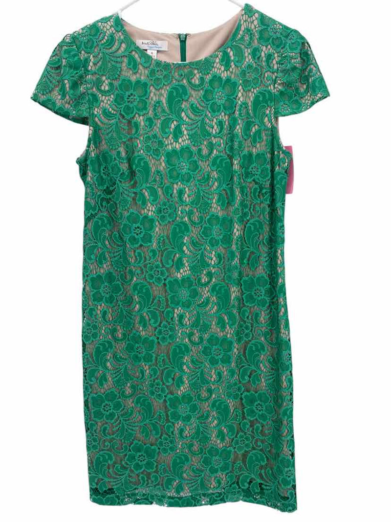 Ladies Ivy & blu Size 6 Dresses