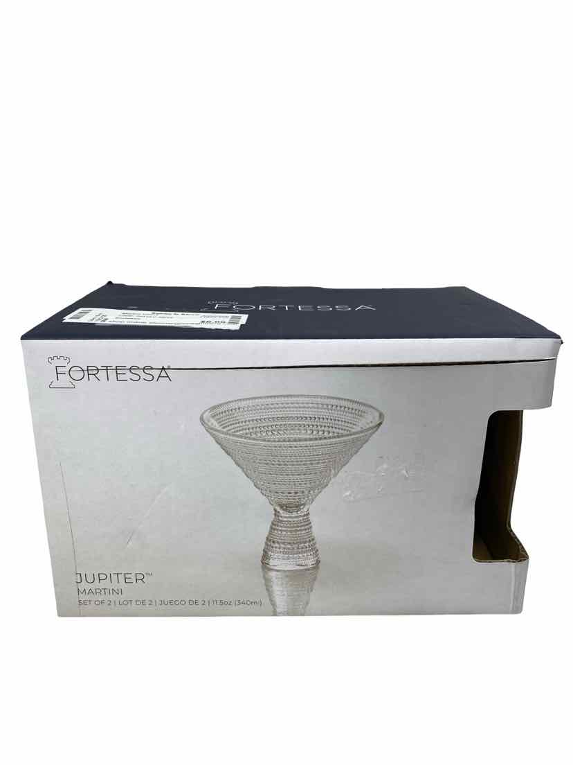 Fortessa Clear Set of 2 NEW Martini Glass