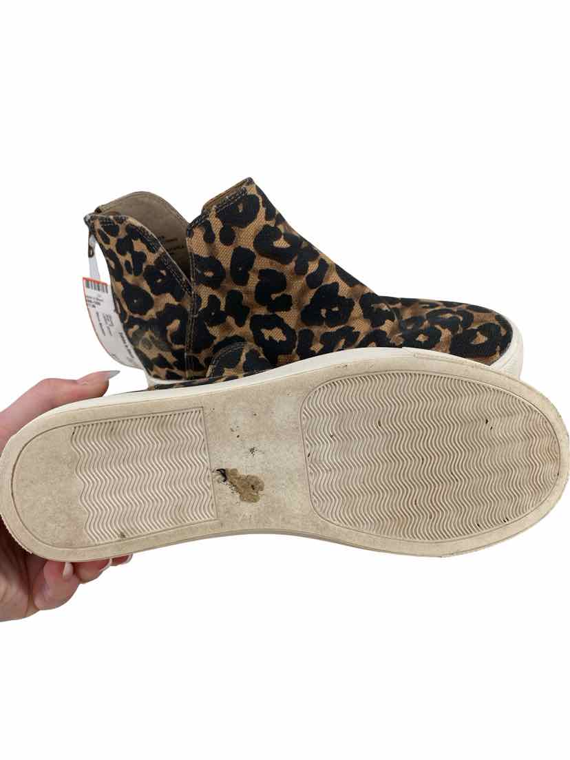 Steve Madden Ladies Size 6 Shoes
