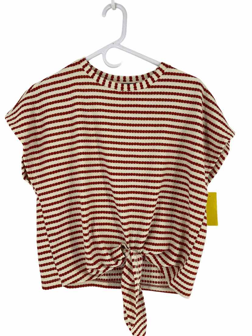 Cider Ladies Size S Shirt