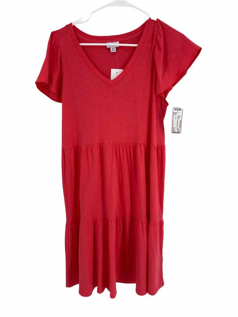 J. Crew Kids Size XS NEW Dress