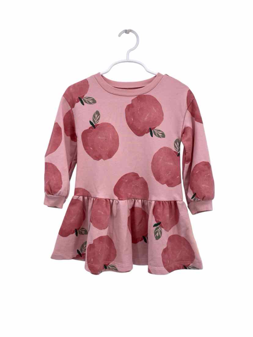 Carter's Kids Size 2T Dress