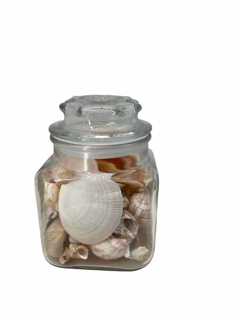 in glass jar Shells