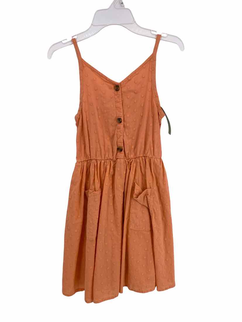Jumping Bean Kids Size 8 Dress