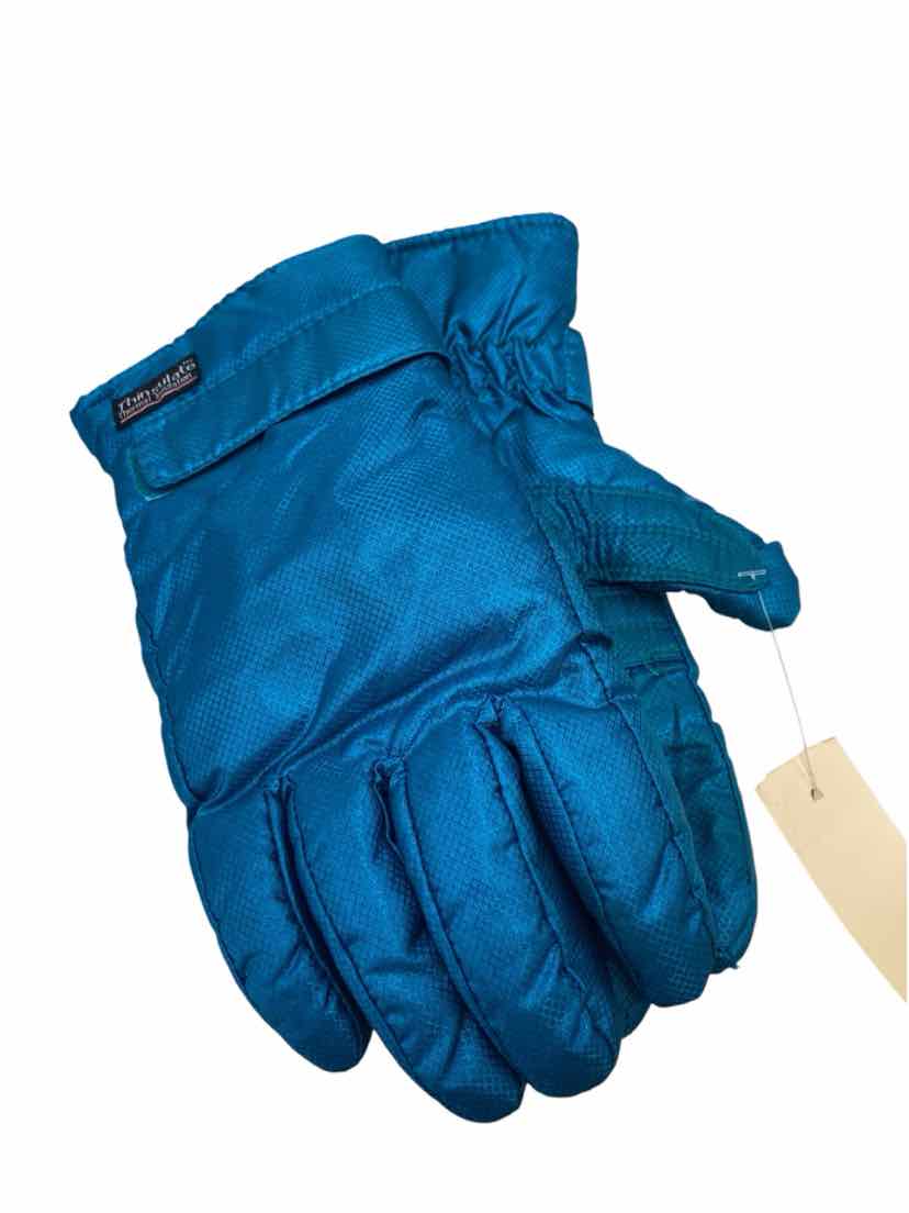 Thinsulate Ladies Gloves