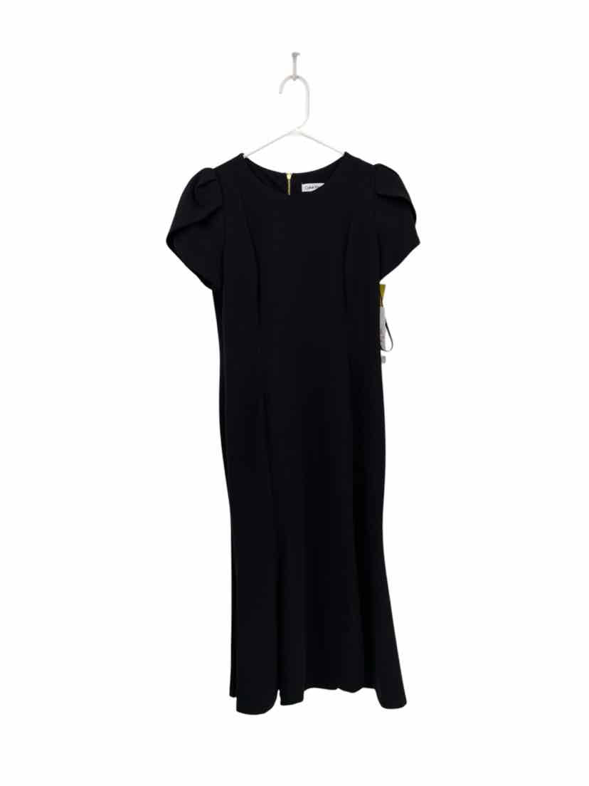 Calvin Klein Ladies Size 10 NEW Dress
