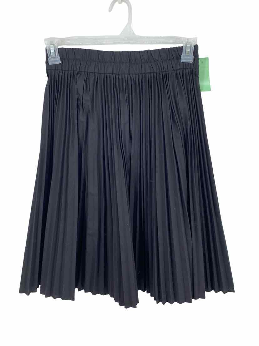 J Crew Ladies Size XS Skirt