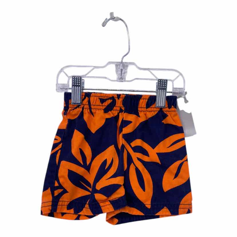 Carter's Kids Size 6m Shorts