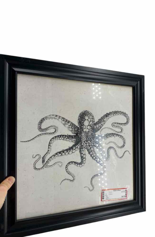 Octopus Picture