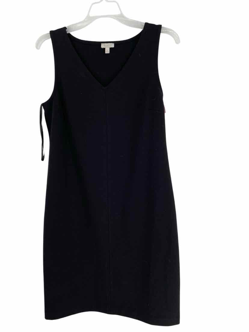 Talbots Ladies Size Small Petite Dress