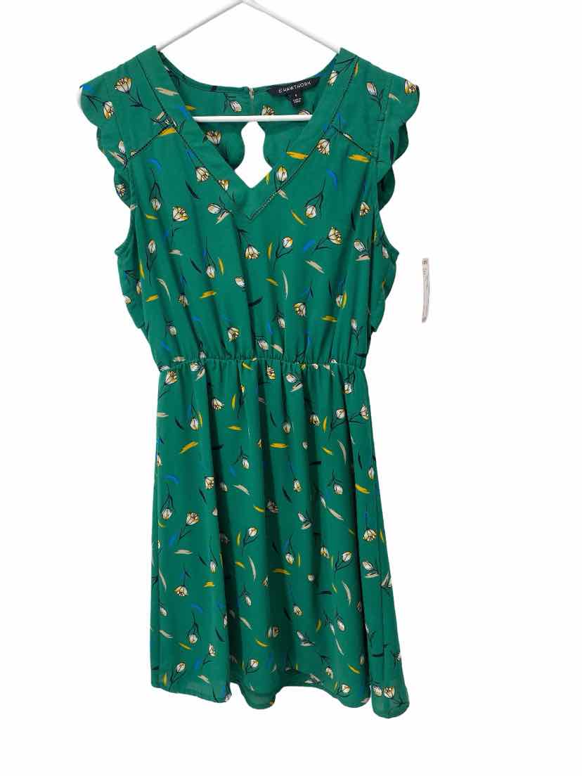 41 Hawthorn Ladies Size Small Dress