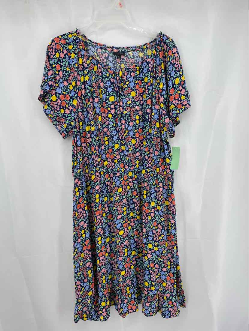 Talbots Ladies Size 16P Dress