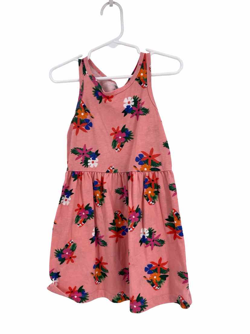 Carter's Size 4t Dress