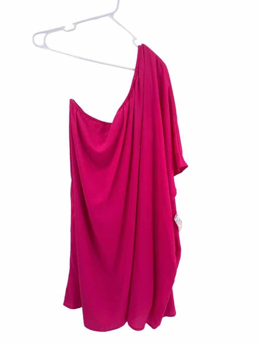 White Birch Ladies Size 2X NEW Dress
