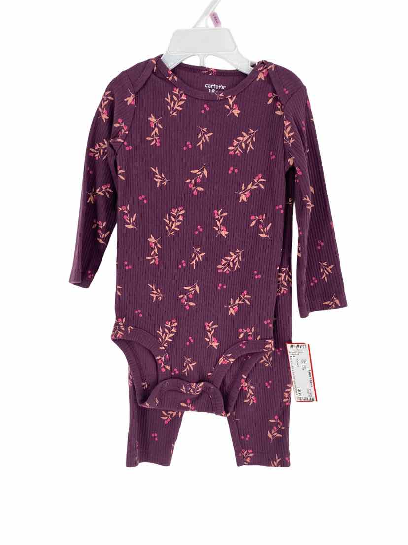 Carter's Kids Size 18m 2 pc