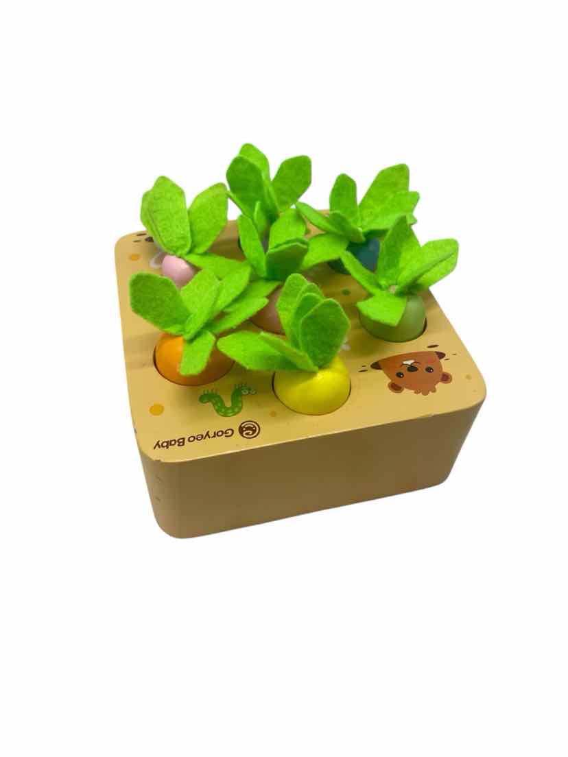 Goryeo Baby Kids Carrot Learning