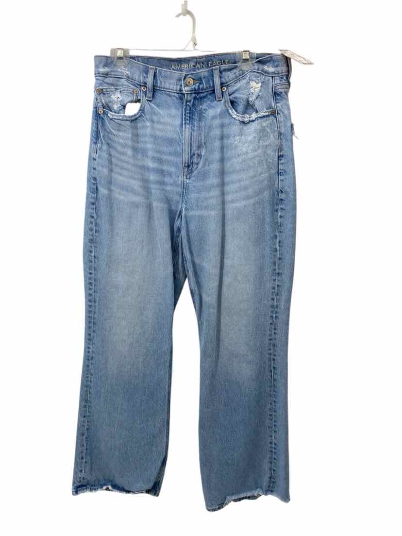 American Eagle Ladies Size 12 Jeans