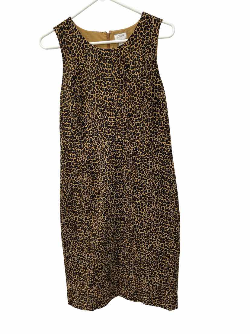 J Crew Ladies Size 8 Dress