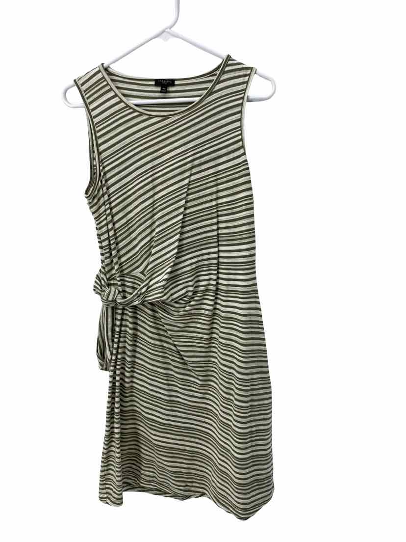 Talbots Ladies Size MP Dress