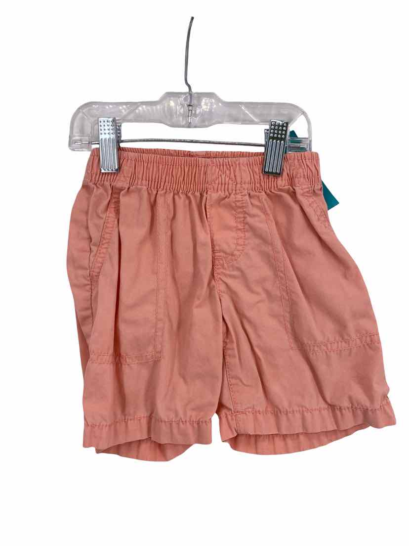 Carter's Kids Size 3t Shorts
