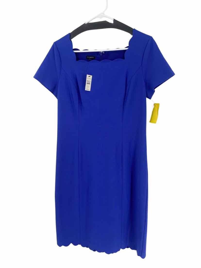Talbots Ladies Size 8 NEW Dress